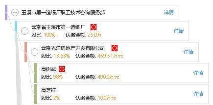 玉溪市第一造纸厂职工技术咨询服务部 信息技术咨询服务的创新与价值